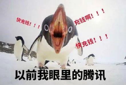 爆料人笑出鹅叫声视频